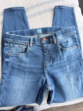 Jag Jeans Skinny Mid Blue Stretch Denim